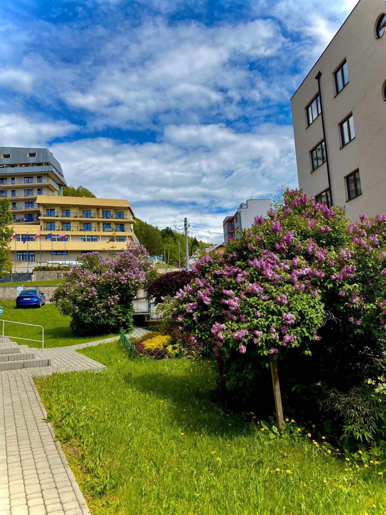 Cristal Apartament Krynica - Zdroj Exteriör bild
